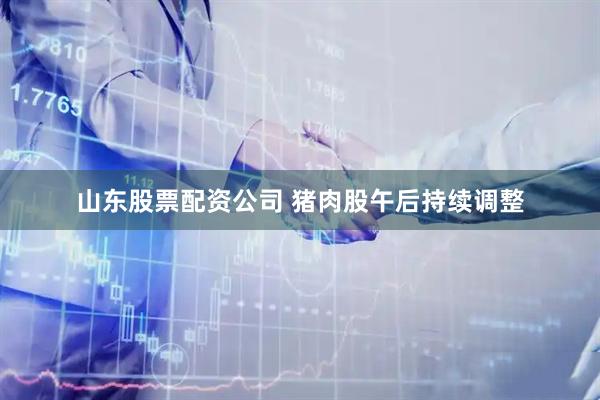 山东股票配资公司 猪肉股午后持续调整