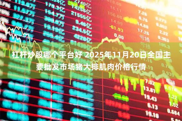 杠杆炒股哪个平台好 2025年11月20日全国主要批发市场猪大排肌肉价格行情